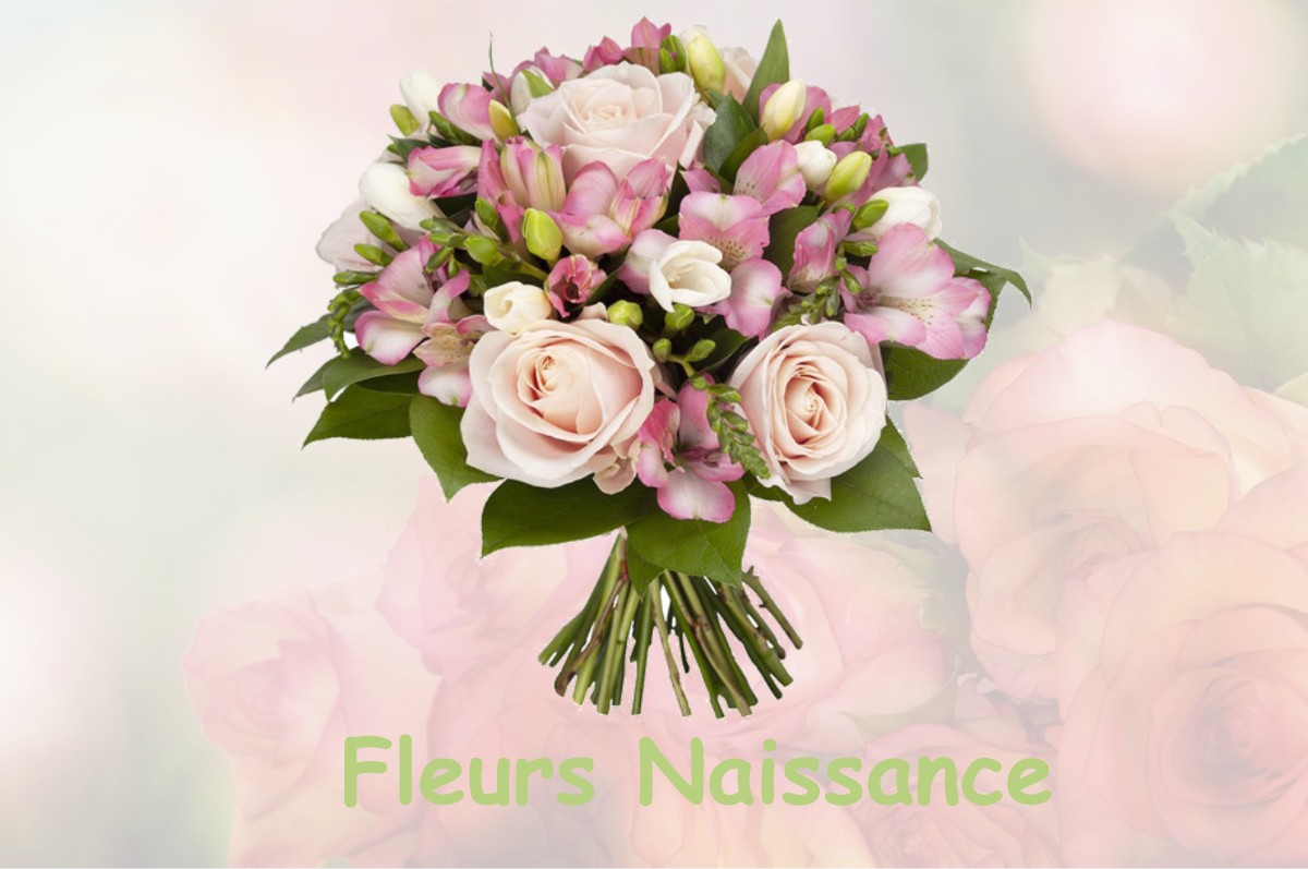 fleurs naissance GOUDELANCOURT-LES-PIERREPONT